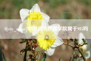 菏泽中国消防救援学院属于985吗