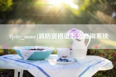 菏泽消防资格证怎么查询系统