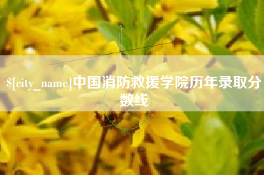 菏泽中国消防救援学院历年录取分数线