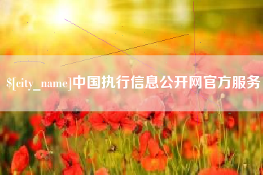 菏泽中国执行信息公开网官方服务