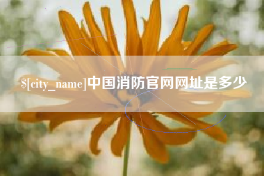菏泽中国消防官网网址是多少