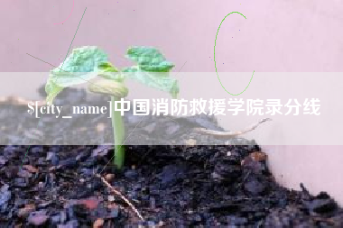 菏泽中国消防救援学院录分线