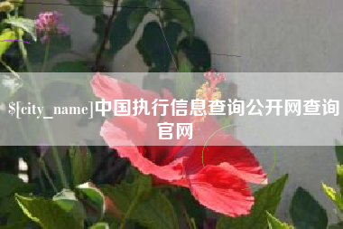 菏泽中国执行信息查询公开网查询官网