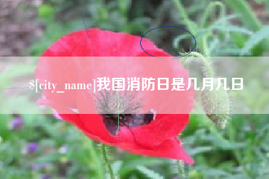 菏泽我国消防日是几月几日