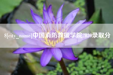 菏泽中国消防救援学院2020录取分