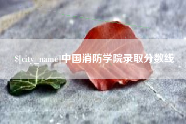 菏泽中国消防学院录取分数线