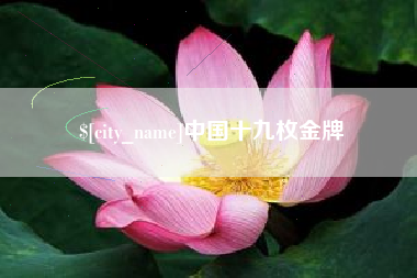 菏泽中国十九枚金牌