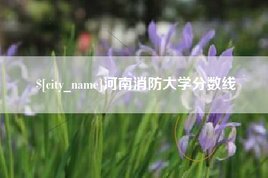 菏泽河南消防大学分数线