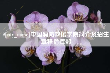 菏泽中国消防救援学院简介及招生章程指挥部
