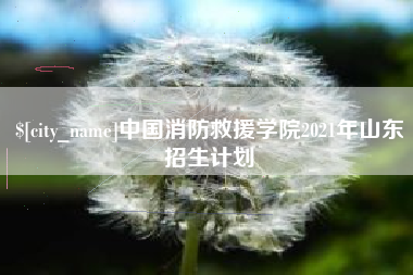 菏泽中国消防救援学院2021年山东招生计划