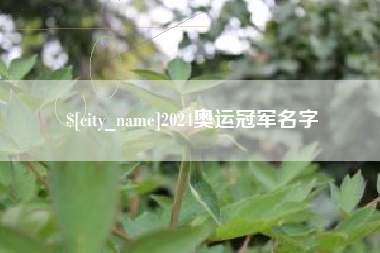 菏泽2024奥运冠军名字