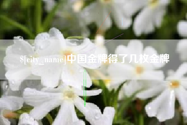 菏泽中国金牌得了几枚金牌