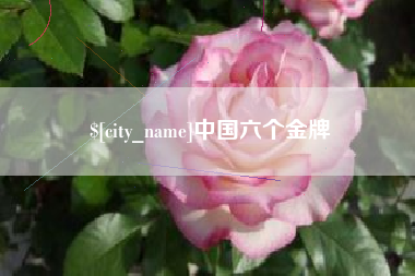 菏泽中国六个金牌