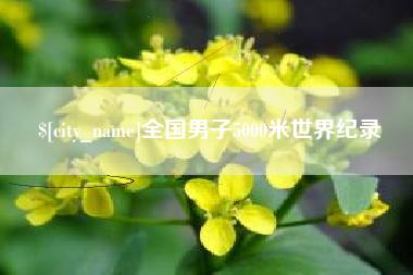 菏泽全国男子5000米世界纪录
