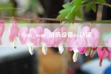菏泽消防设备ccc认证