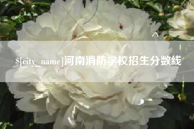 菏泽河南消防学校招生分数线