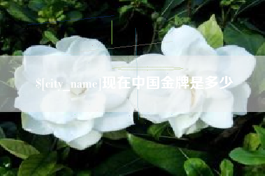 菏泽现在中国金牌是多少