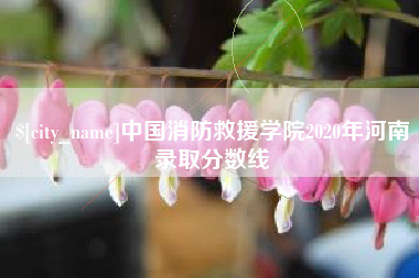菏泽中国消防救援学院2020年河南录取分数线