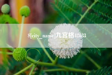 菏泽九宫格42633
