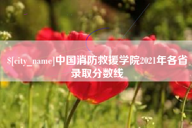 菏泽中国消防救援学院2021年各省录取分数线