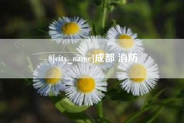 菏泽成都 消防