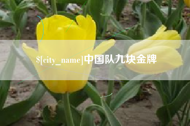 菏泽中国队九块金牌