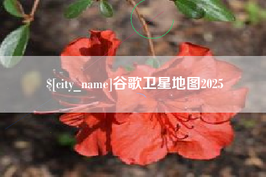 菏泽谷歌卫星地图2025
