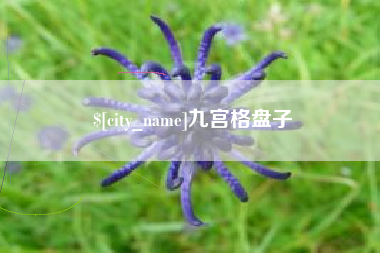 菏泽九宫格盘子