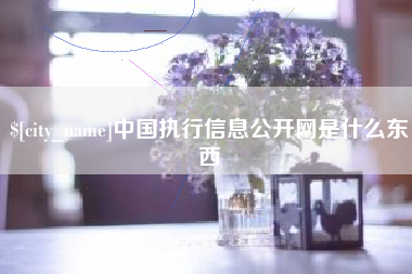 菏泽中国执行信息公开网是什么东西