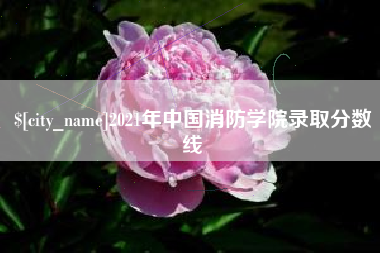 菏泽2021年中国消防学院录取分数线