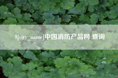 菏泽中国消防产品网 查询
