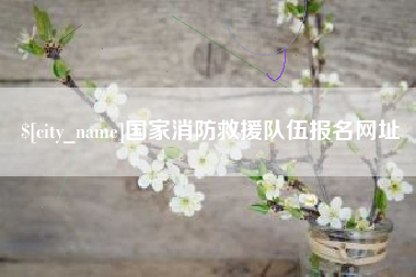 菏泽国家消防救援队伍报名网址