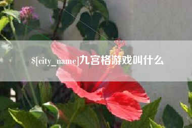 菏泽九宫格游戏叫什么