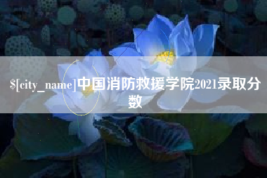 菏泽中国消防救援学院2021录取分数