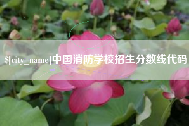 菏泽中国消防学校招生分数线代码