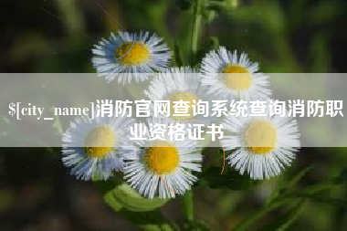 菏泽消防官网查询系统查询消防职业资格证书