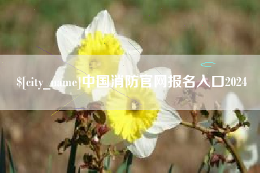 菏泽中国消防官网报名入口2024