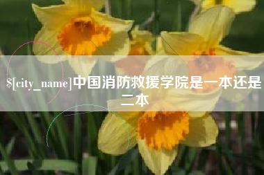 菏泽中国消防救援学院是一本还是二本