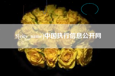 菏泽中国执行信息公开网