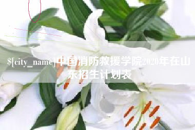菏泽中国消防救援学院2020年在山东招生计划表