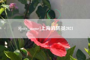 菏泽上海消防员2021