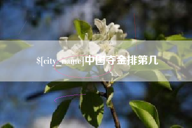 菏泽中国夺金排第几