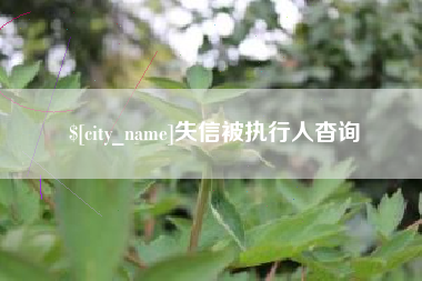 菏泽失信被执行人杳询
