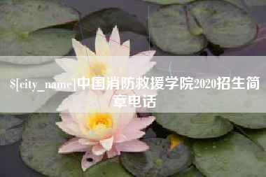 菏泽中国消防救援学院2020招生简章电话
