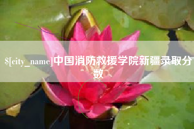 菏泽中国消防救援学院新疆录取分数