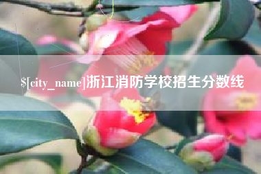 菏泽浙江消防学校招生分数线