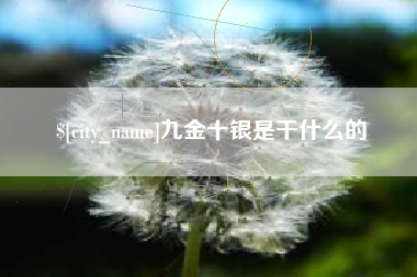 菏泽九金十银是干什么的