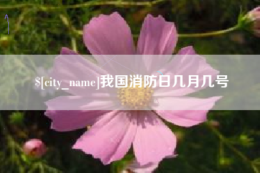 菏泽我国消防日几月几号