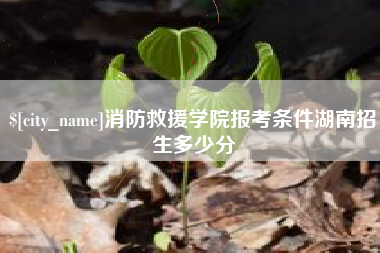 菏泽消防救援学院报考条件湖南招生多少分
