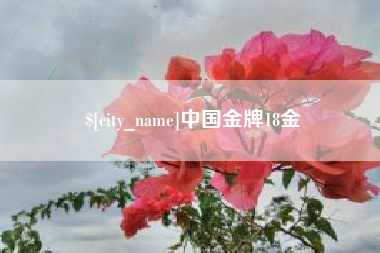 菏泽中国金牌18金